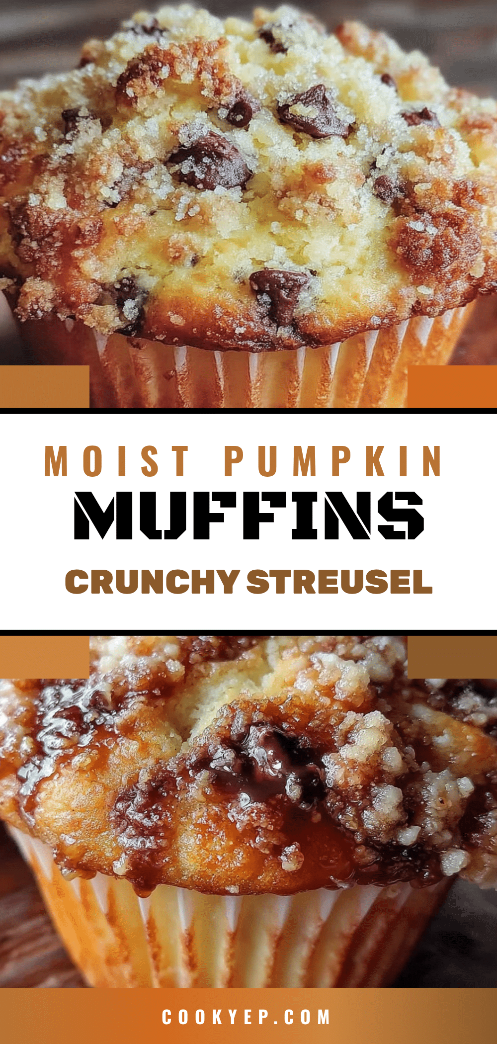 chocolate chip pumpkin muffins recipe