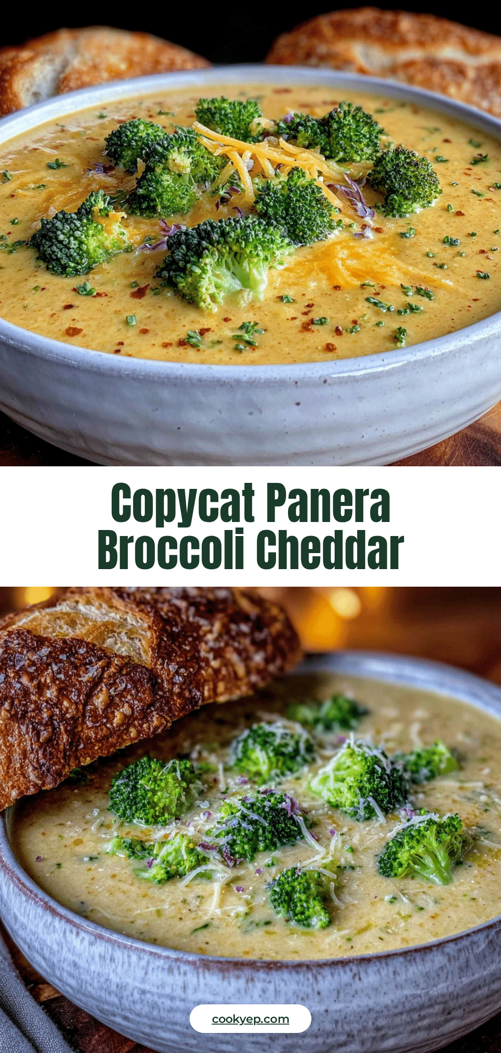 creamy copycat panera broccoli cheddar soup recipe recipe
