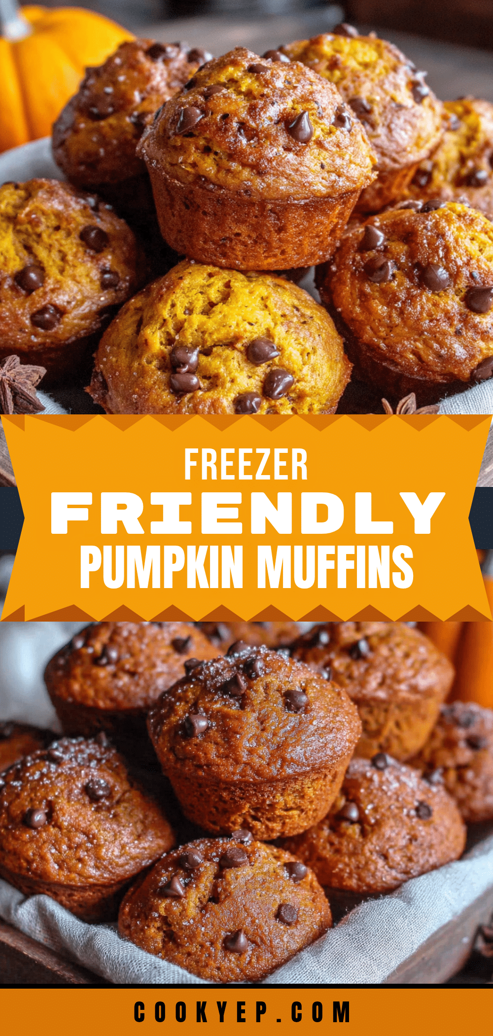 mini pumpkin chocolate chip muffins recipe