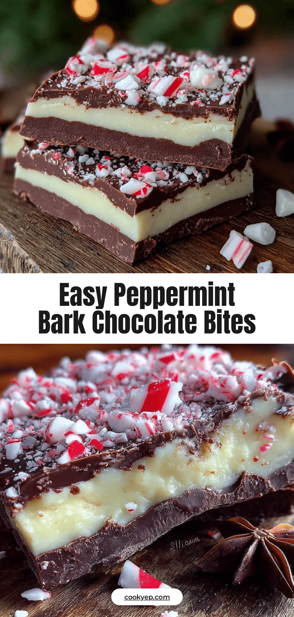 peppermint bark chocolate bites recipe