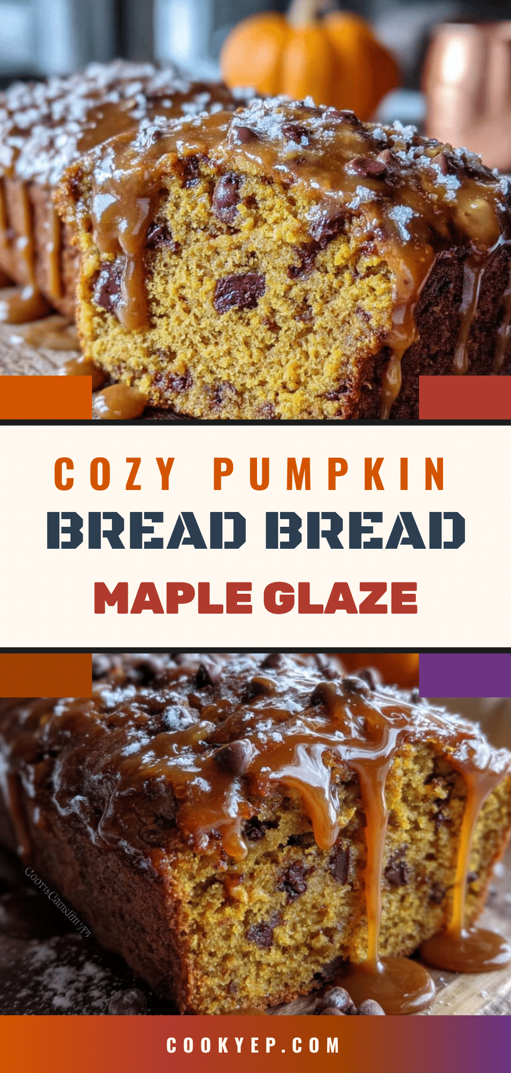 pumpkin chocolate chip bread recipe