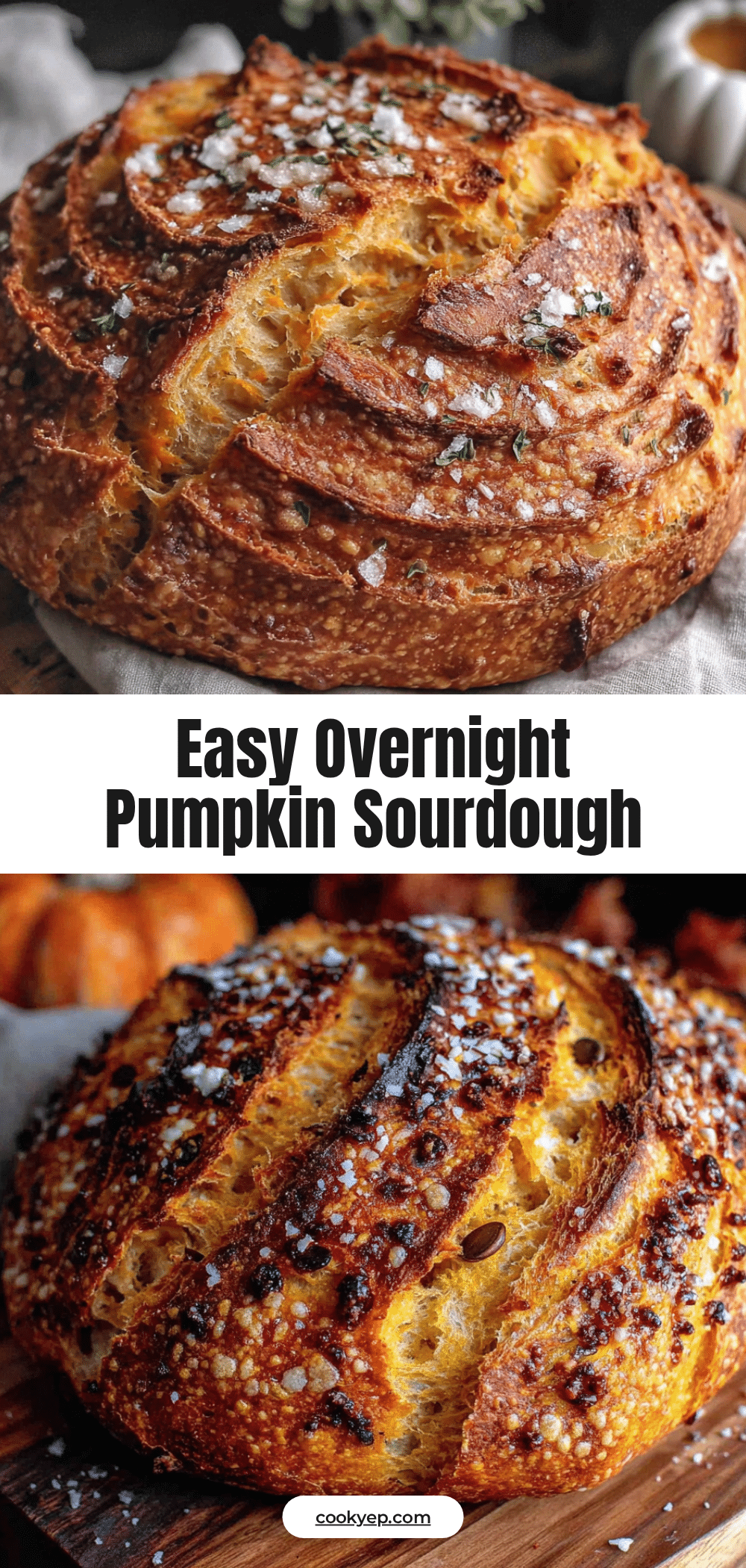 pumpkin sourdough discard bread recipe