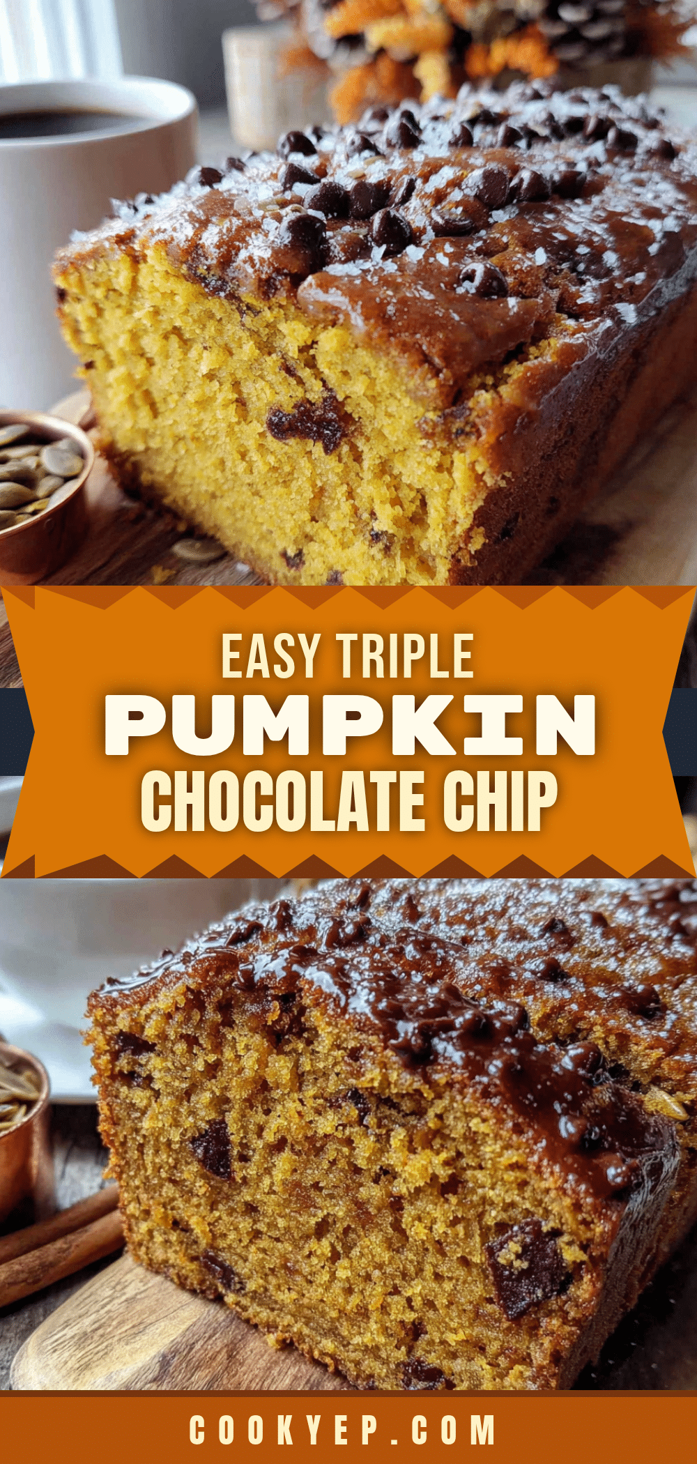 triple pumpkin chocolate chip bread recipe