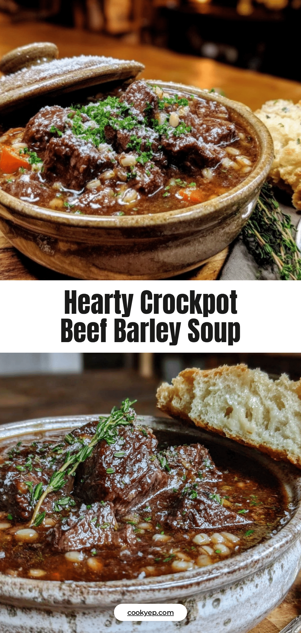 cozy crockpot beef and barley soup recipe