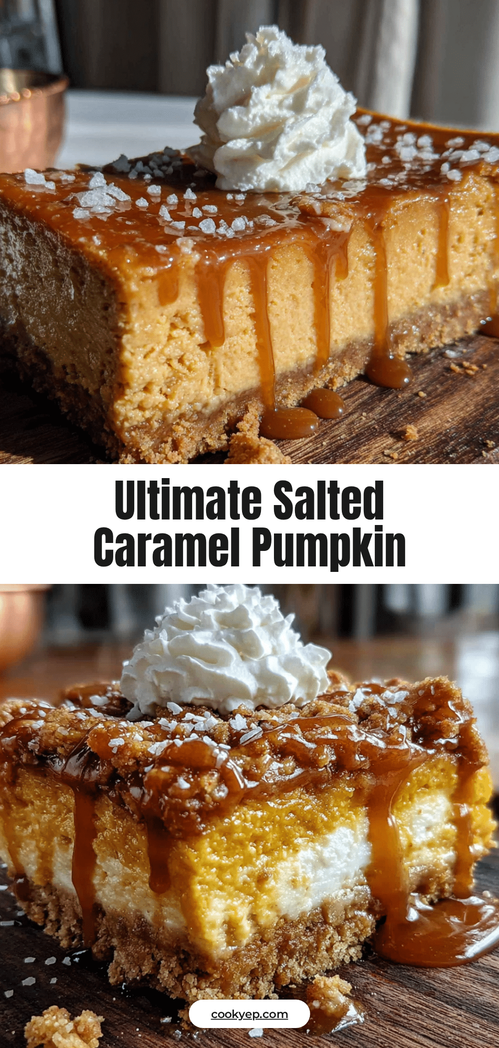 salted caramel pumpkin cheesecake bars recipe