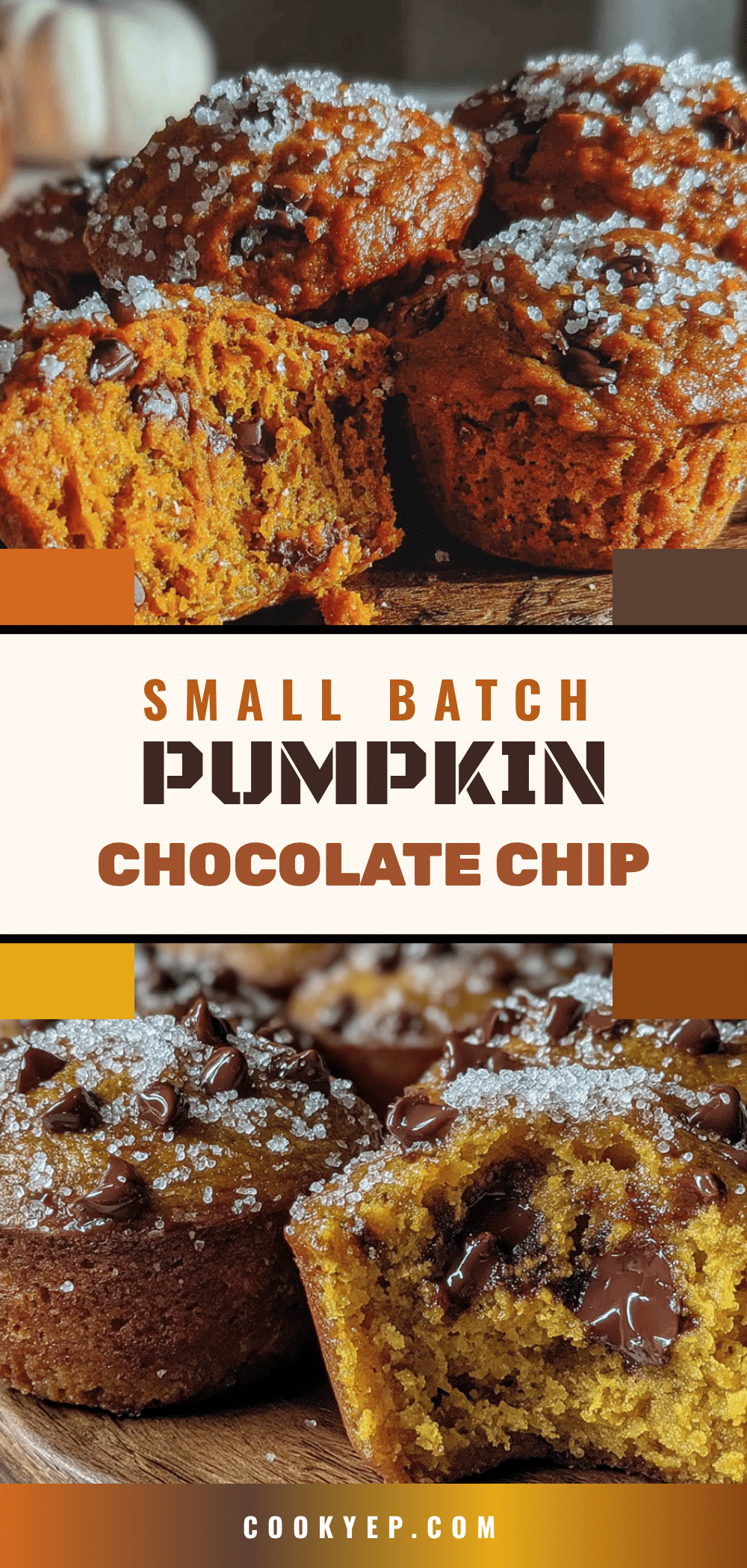 small-batch pumpkin chocolate chip muffins recipe