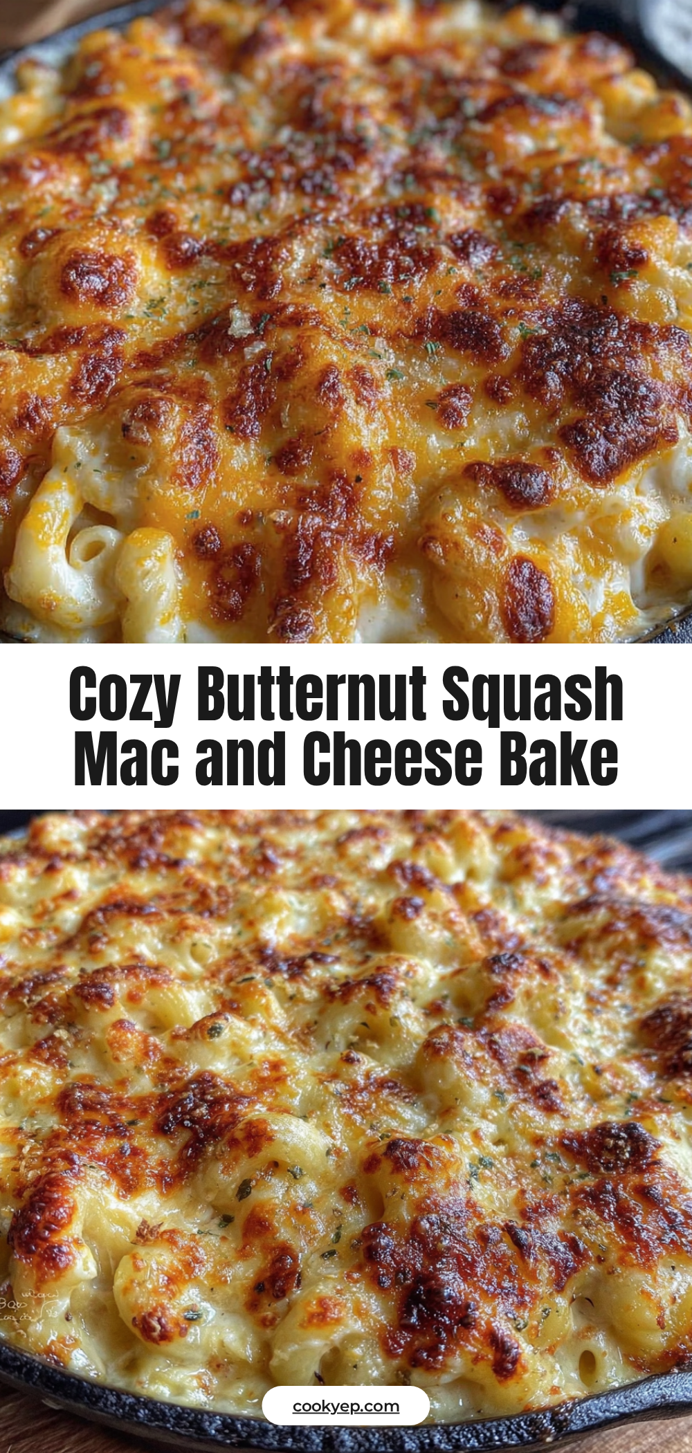 cozy butternut squash mac and cheese bake recipe