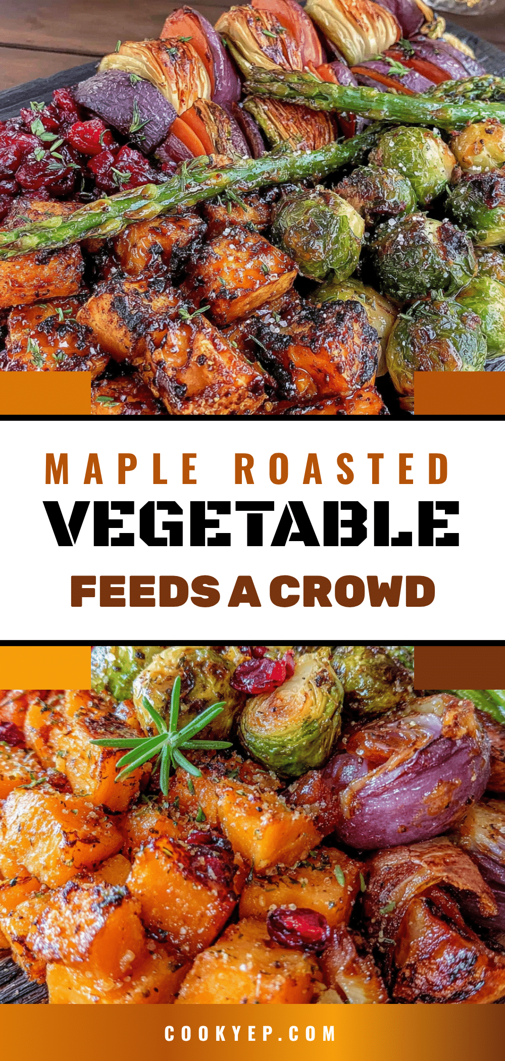 maple roasted thanksgiving vegetable medley recipe