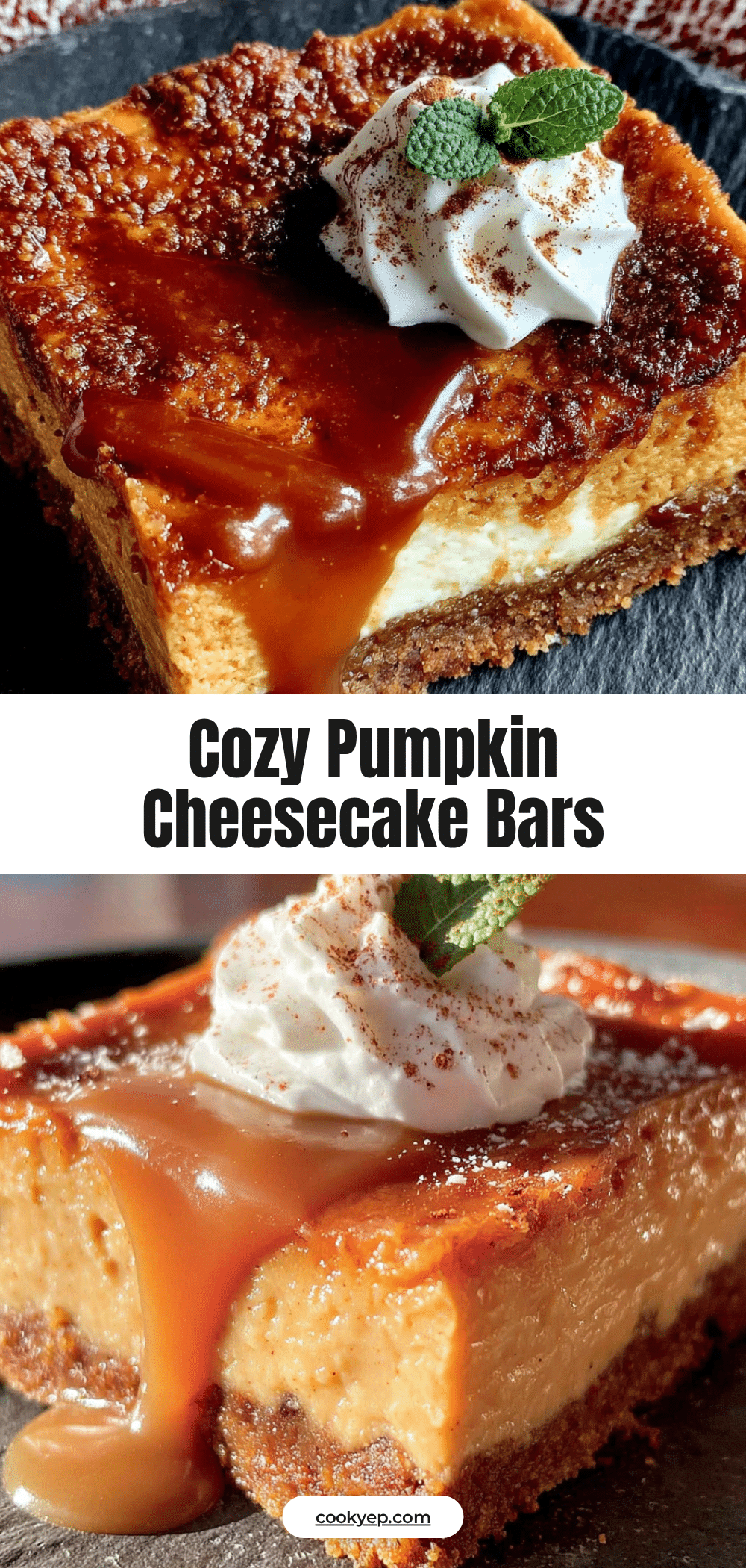 pumpkin cheesecake bars recipe